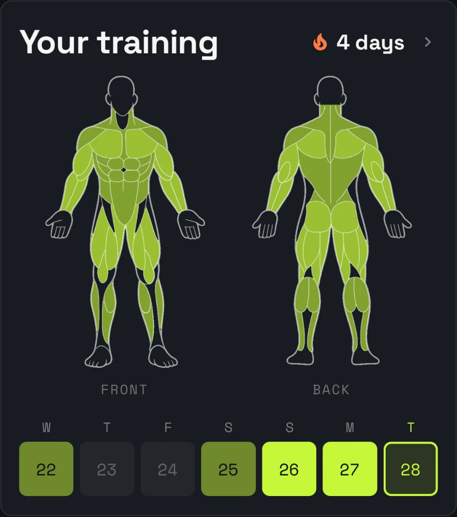 Toro AI training card: front and back muscle-group heat map with the week's training streak
